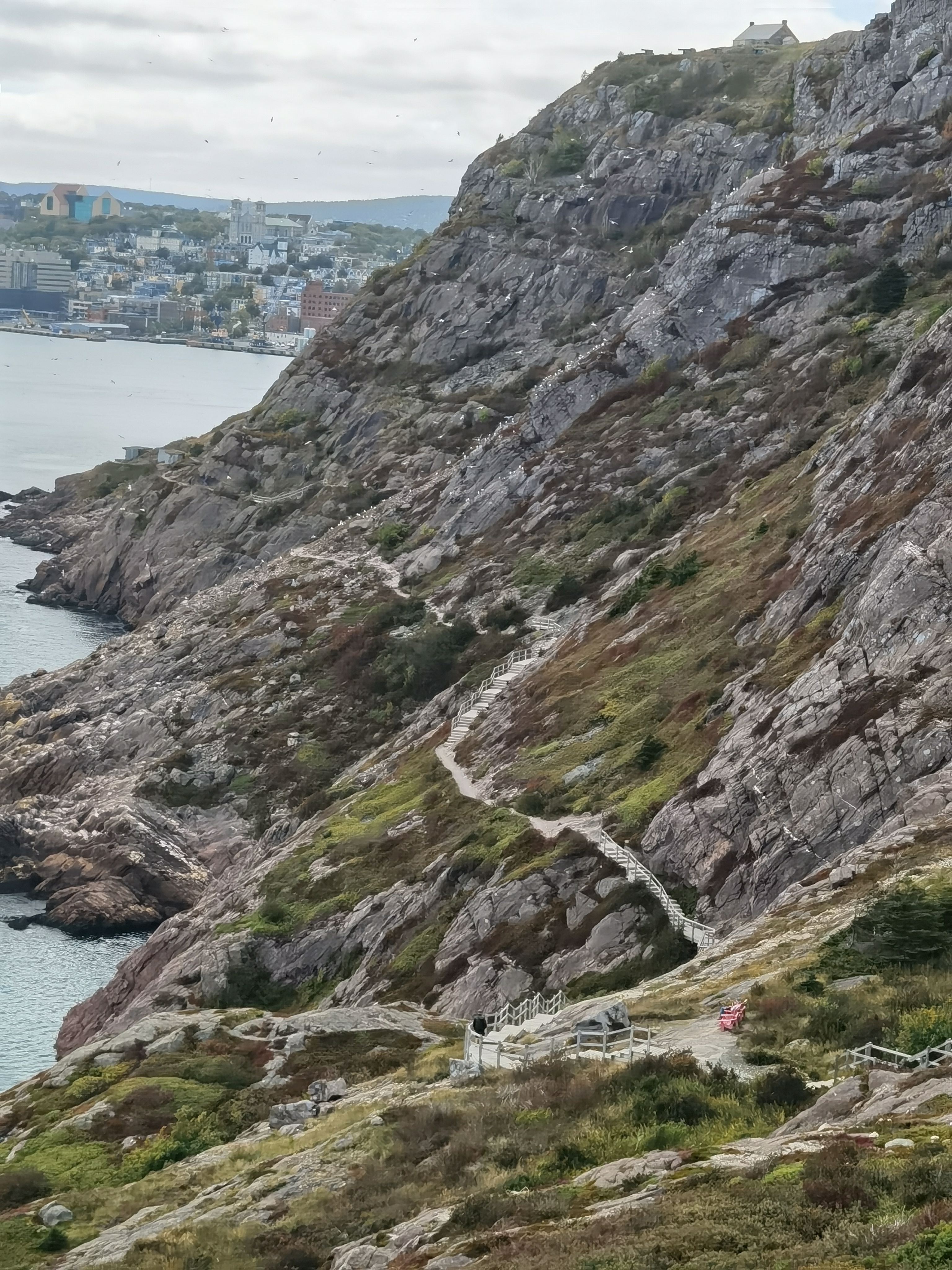 20250928054512_23948.jpg IMG_20250924_135020.jpg