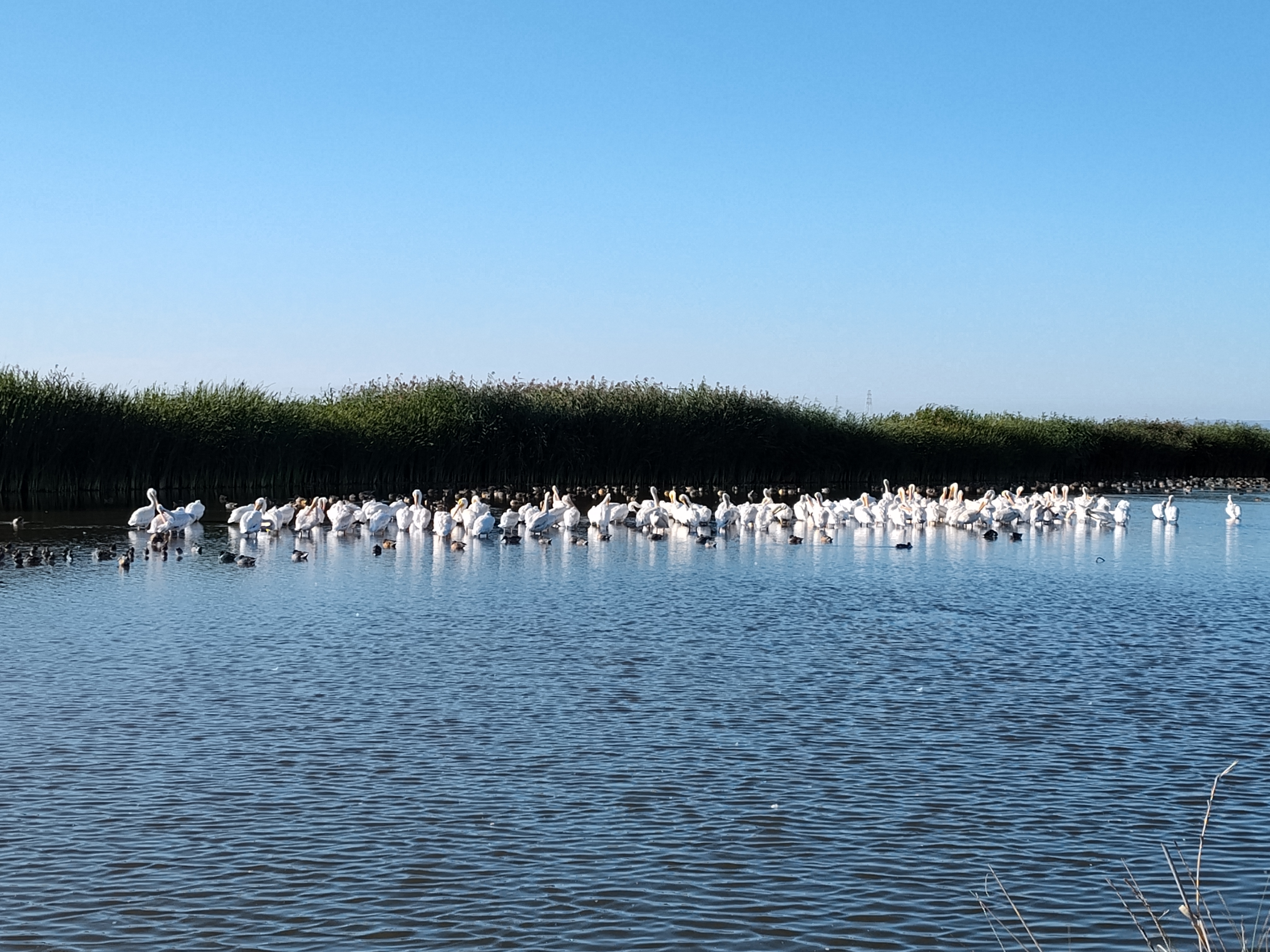 20250928112753_79605.jpg 1000019292.jpg