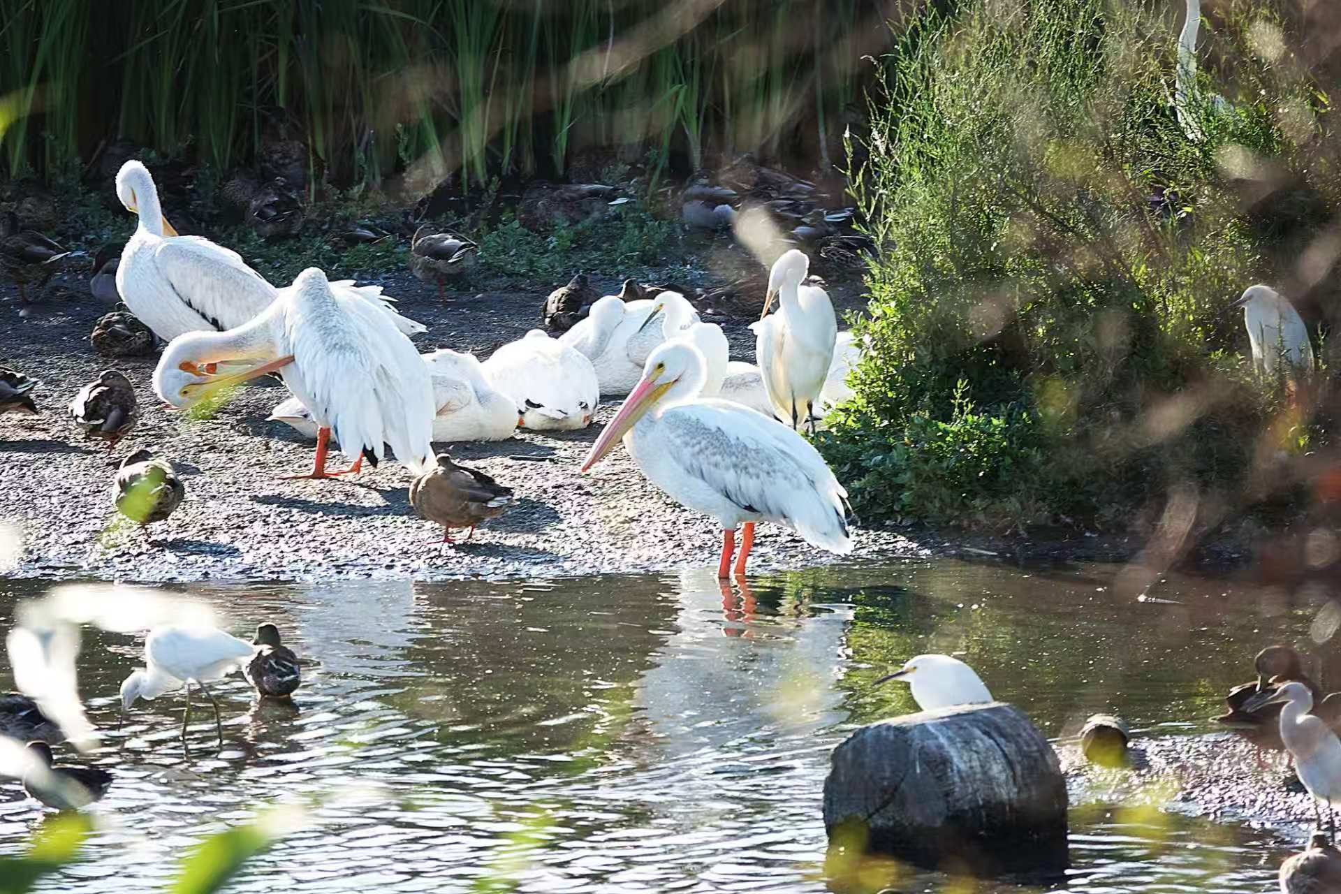 20250928112815_50193.jpg 1000019903.jpg