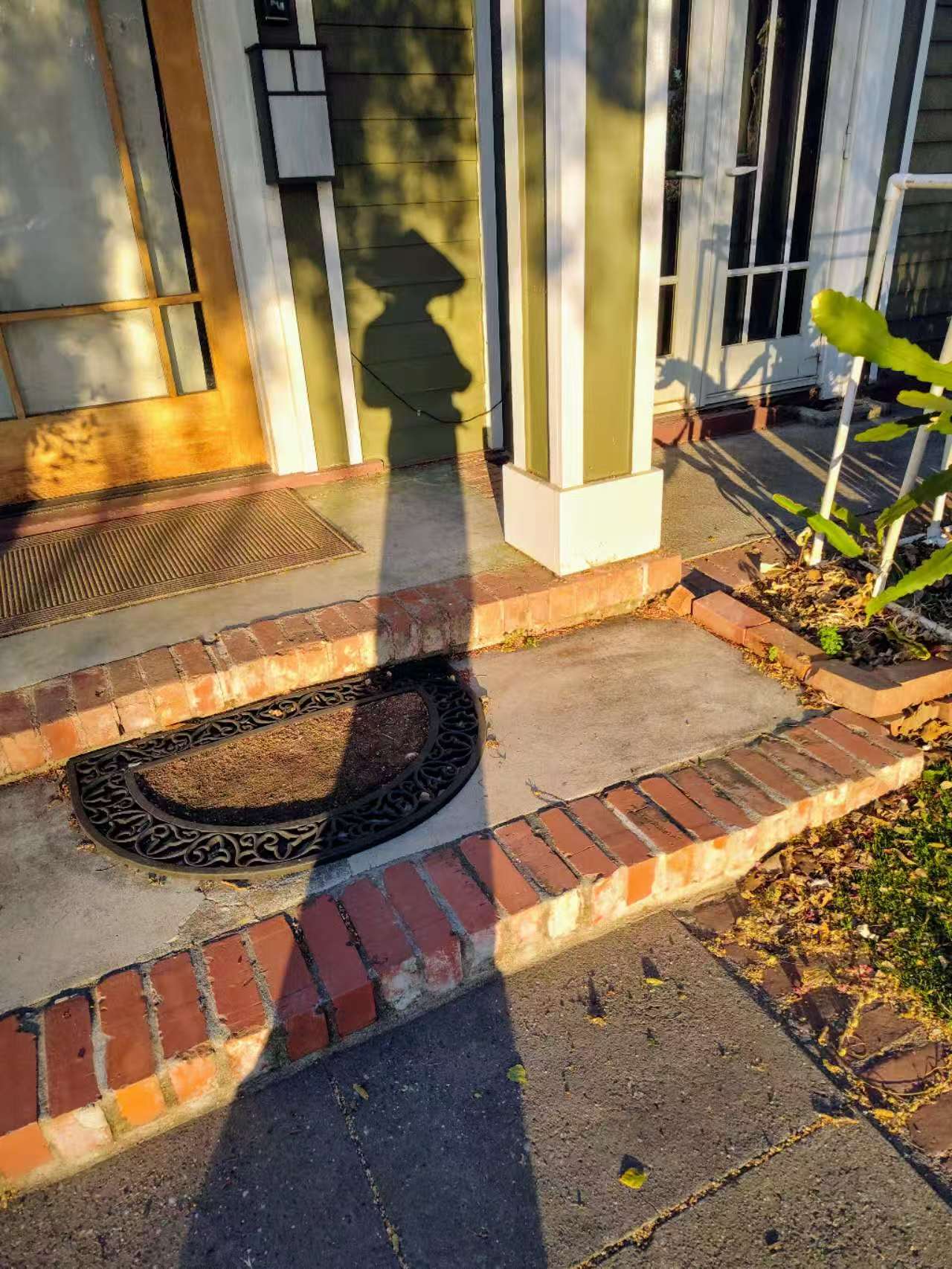 20250929224954_20695.jpg 1000020038.jpg