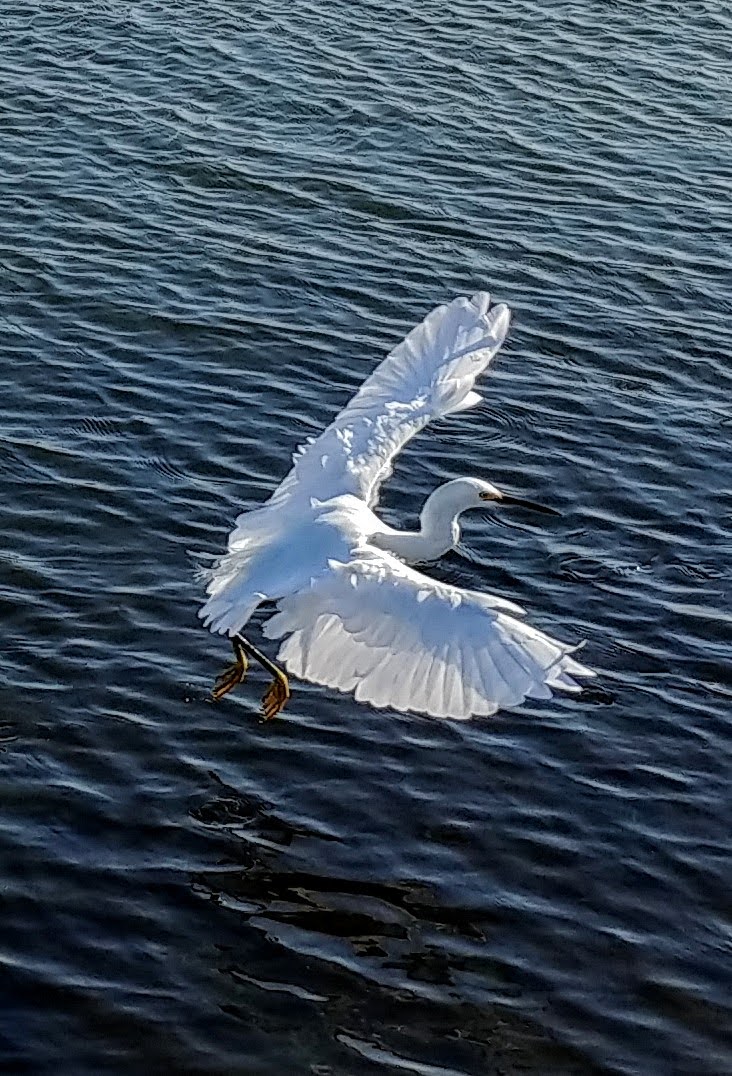 20250929225251_48691.jpg 1000019995.jpg