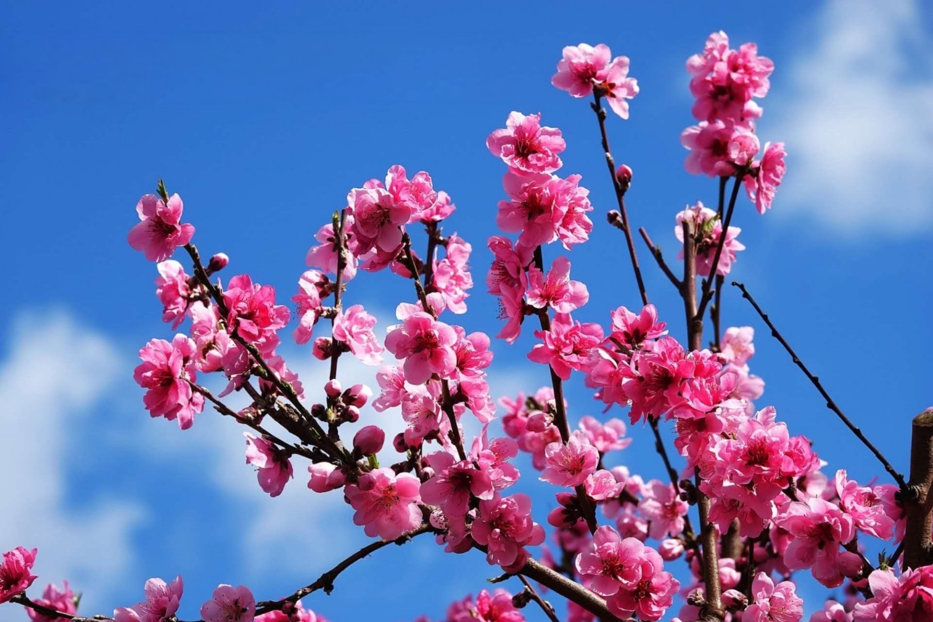 20251001102305_55473.jpg 1000020062.jpg