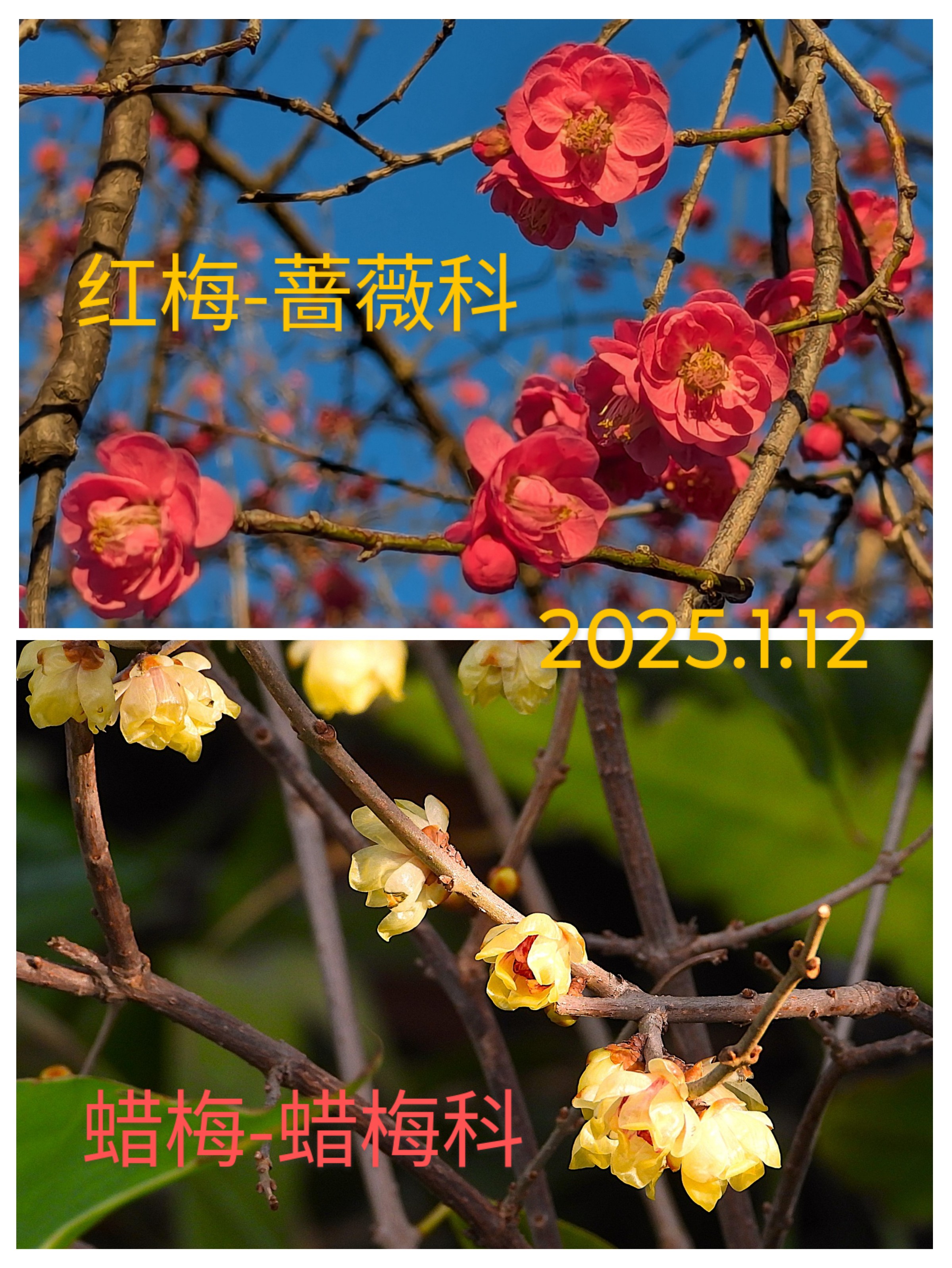 20251001102318_67860.jpg 1000020060.jpg