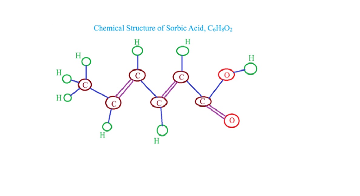 20251010144614_77103.jpg Mooncake 2.jpg