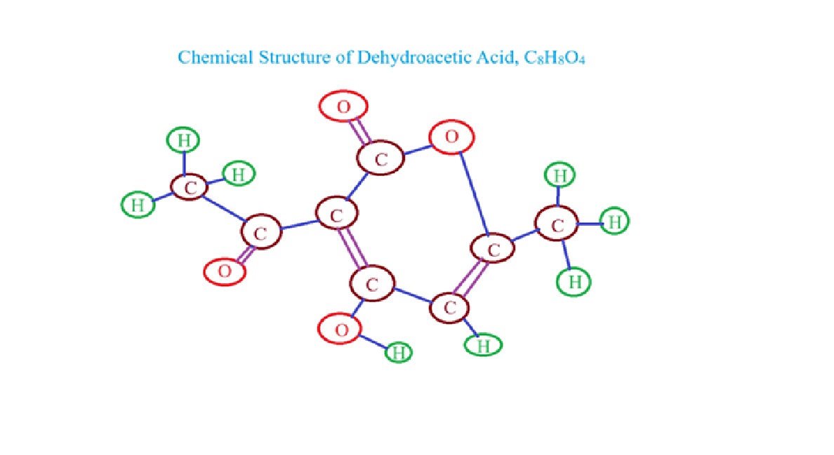 20251010144704_11837.jpg Mooncake 3.jpg