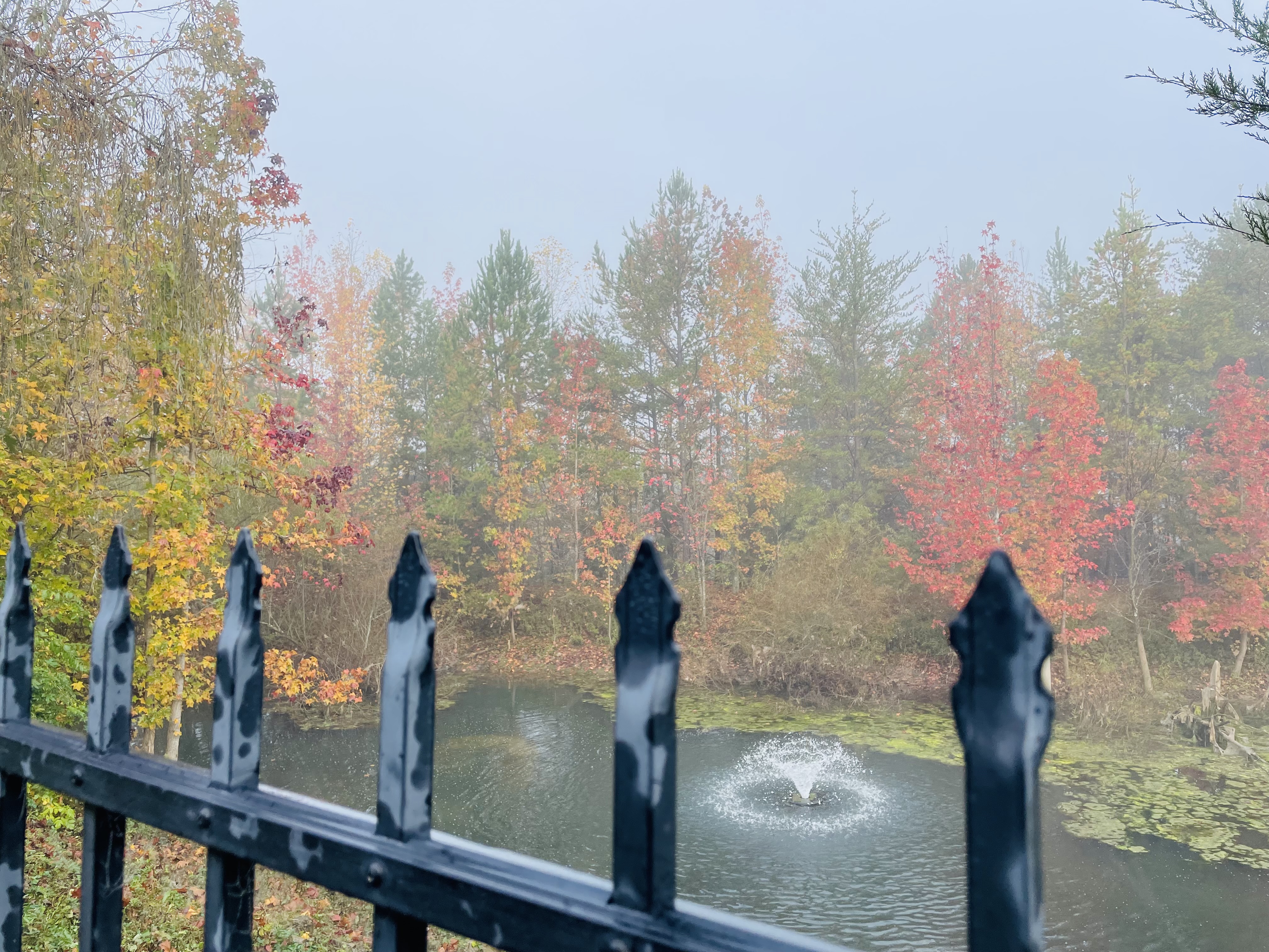 20251107172118_12133.jpeg IMG_8395.jpeg