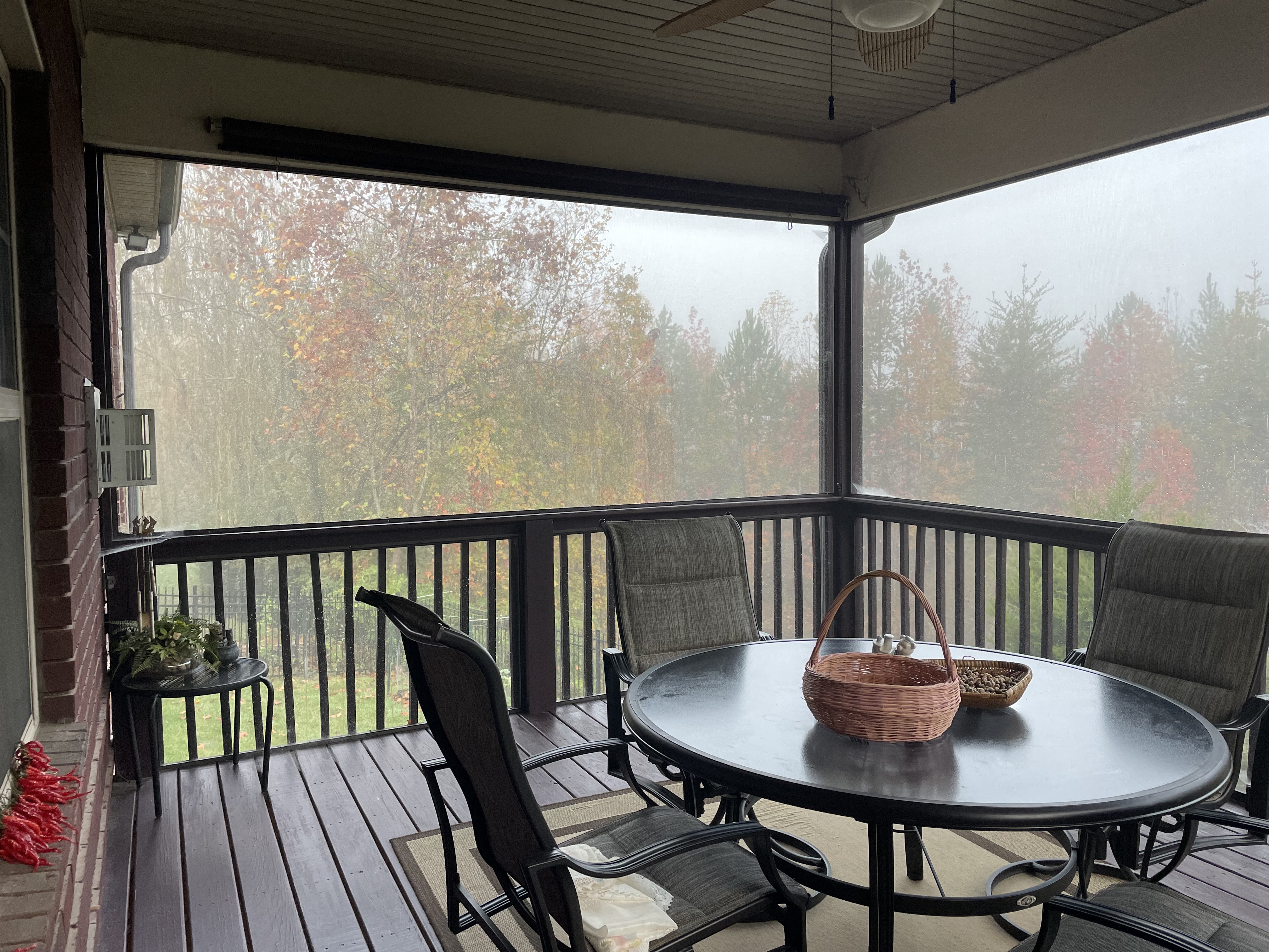 20251107172203_67506.jpeg IMG_8385.jpeg