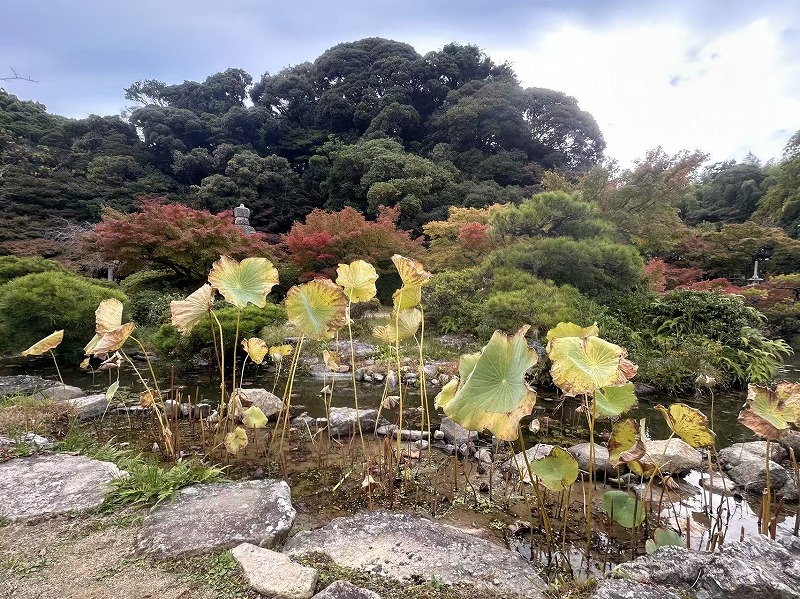 20251122012627_82110.jpg 1.jpg