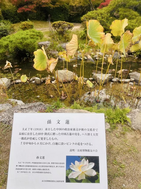 20251122012714_53273.jpg 4.jpg