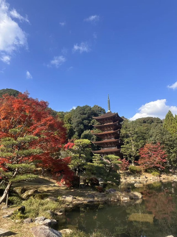 20251122012728_47988.jpg 5.jpg