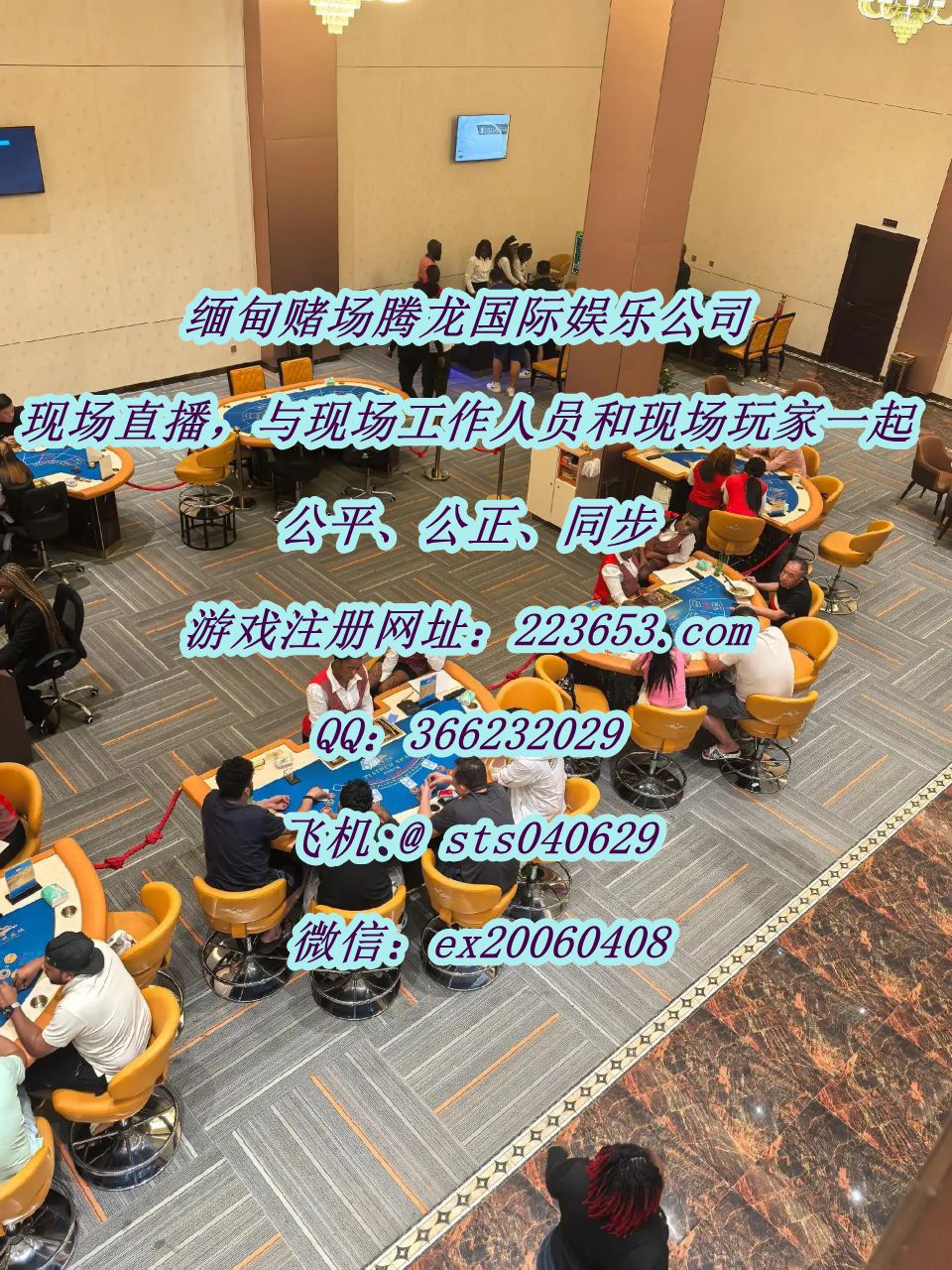 20251126225503_66447.jpg photo_2025-10-14_16-52-33 (2)_副本.jpg