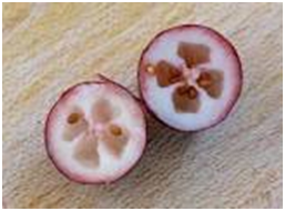 20251128180653_80829.png image.png