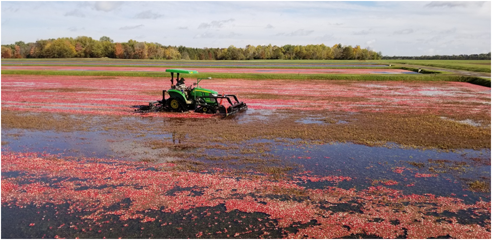 20251128180731_66909.png image.png