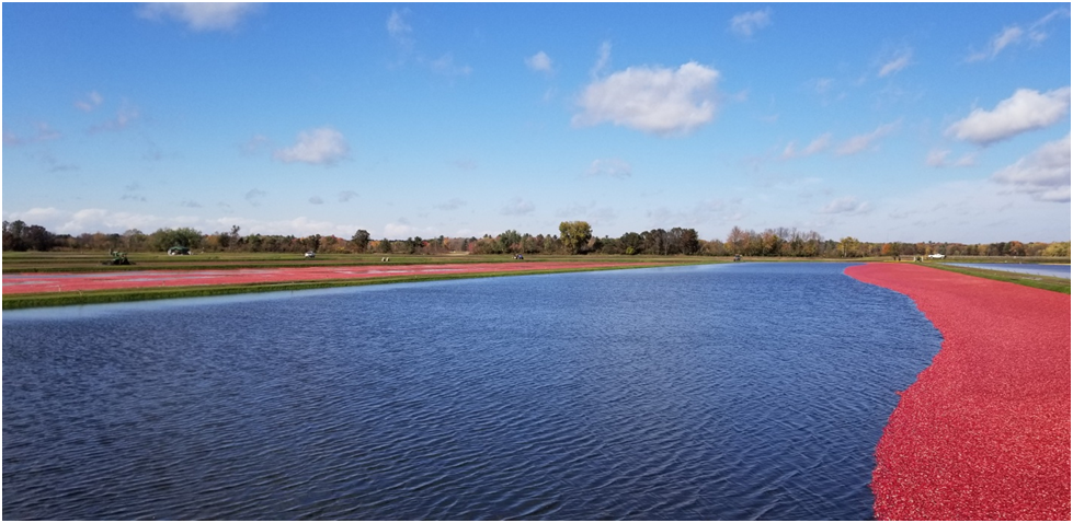 20251128180755_31605.png image.png