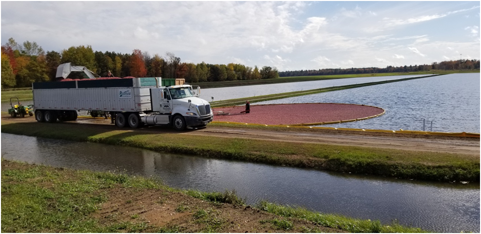 20251128180815_39425.png image.png