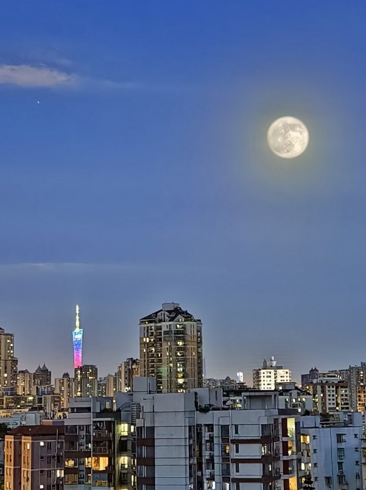 20251129070052_79416.jpeg IMG_8381.jpeg