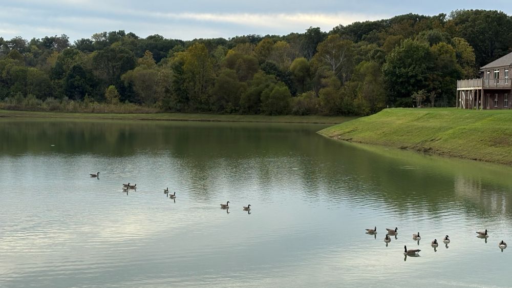 20251203071737_20679.jpeg IMG_8439.jpeg