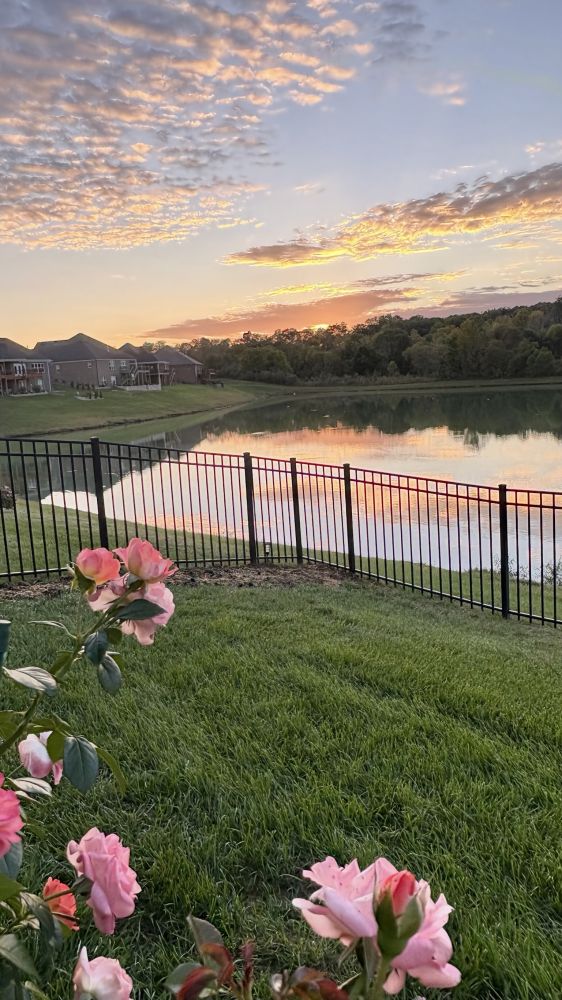 20251204081718_15350.jpeg IMG_8459.jpeg