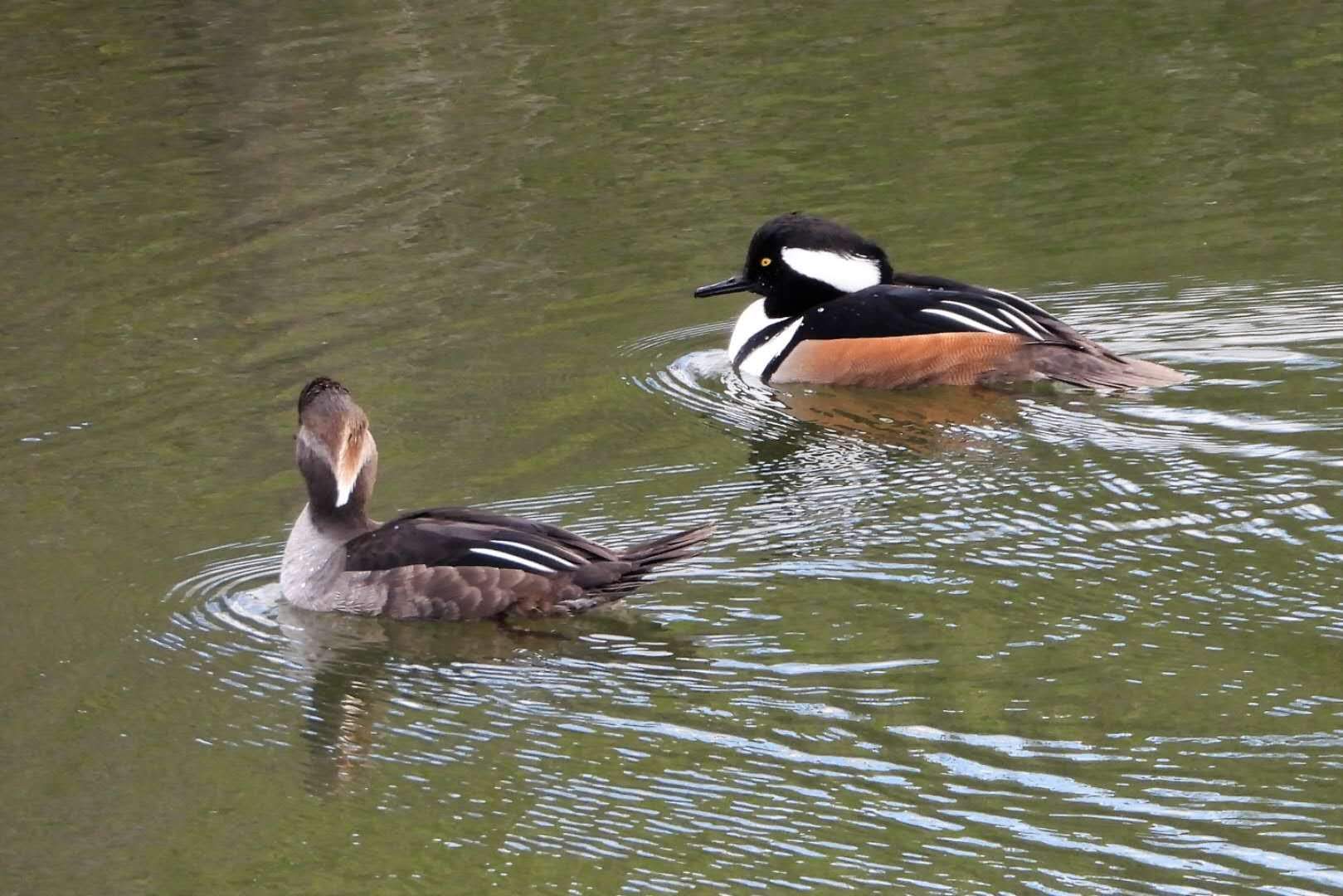 20251204215709_75985.jpg 1000021798.jpg