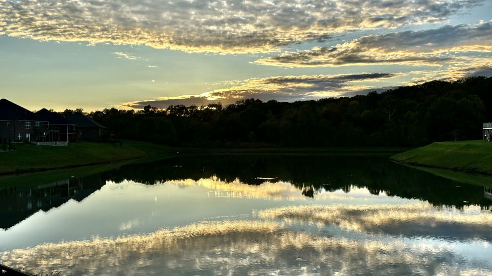 20251205075030_84276.jpeg IMG_8474.jpeg