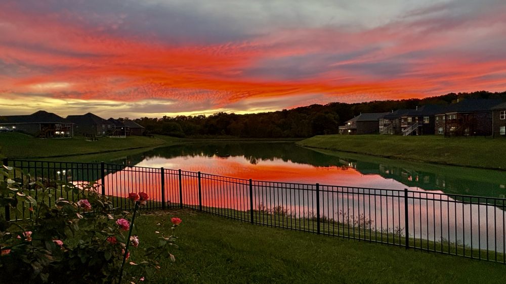 20251209075501_58375.jpeg IMG_8558.jpeg