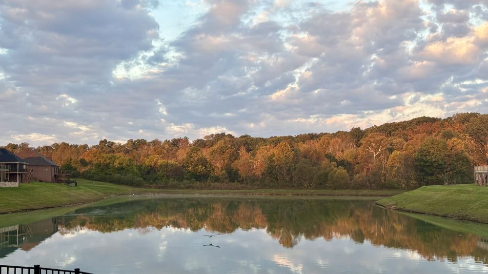 20251210190146_52057.jpeg IMG_8633.jpeg