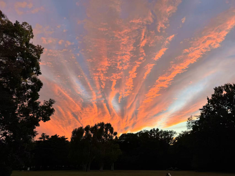 20251212053137_45220.jpg 9.jpg