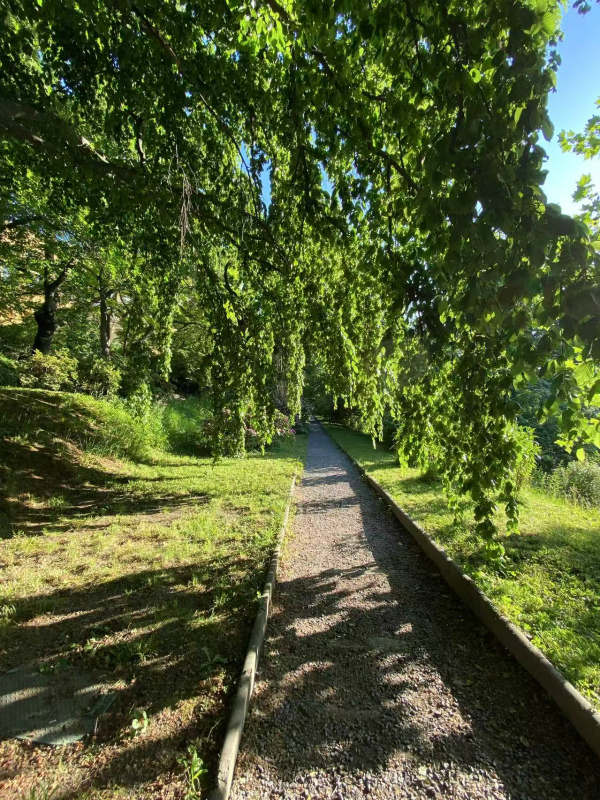 20251212053152_83093.jpg 10.jpg