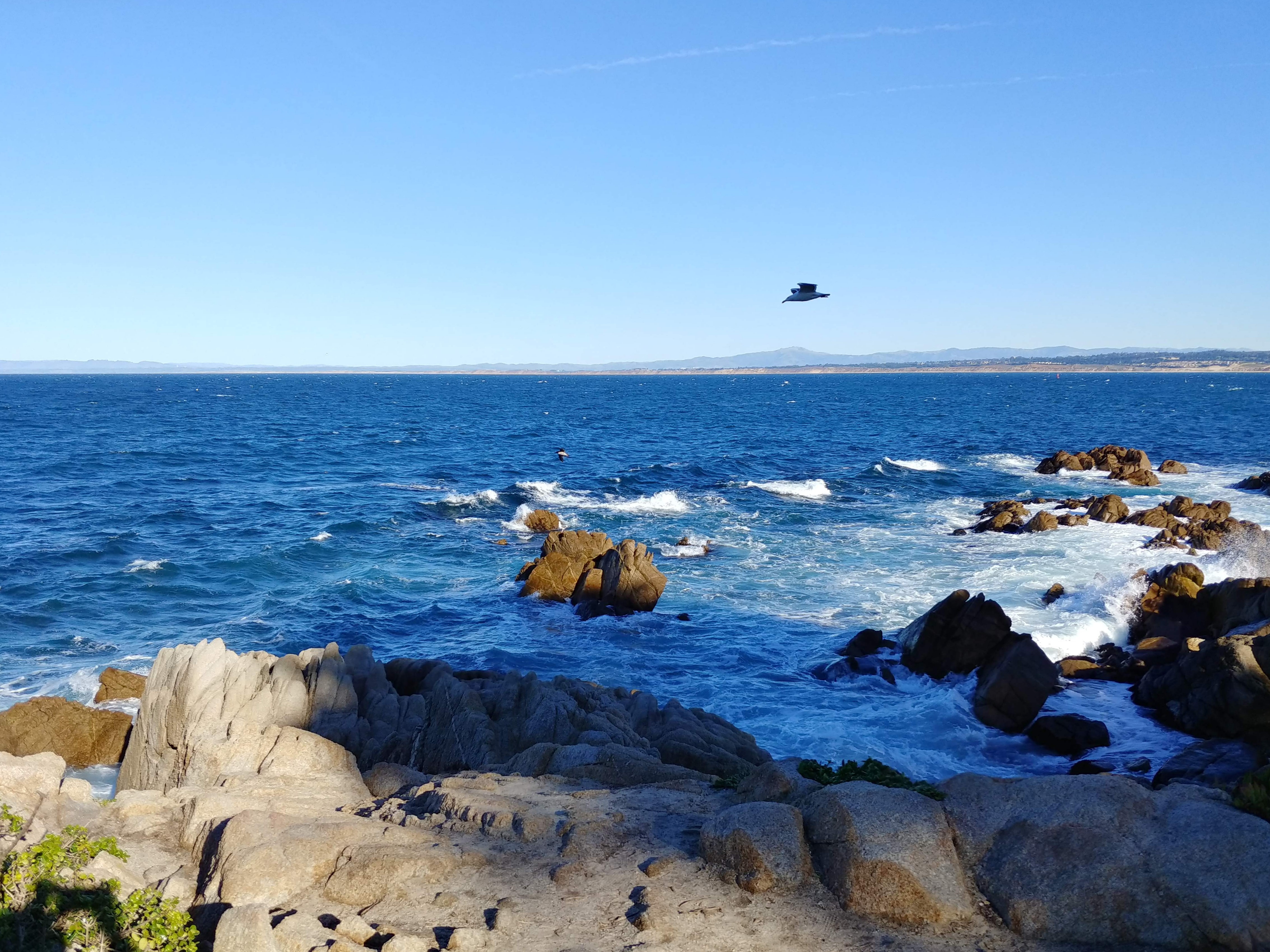 20251217115707_84705.jpg 1000022220.jpg