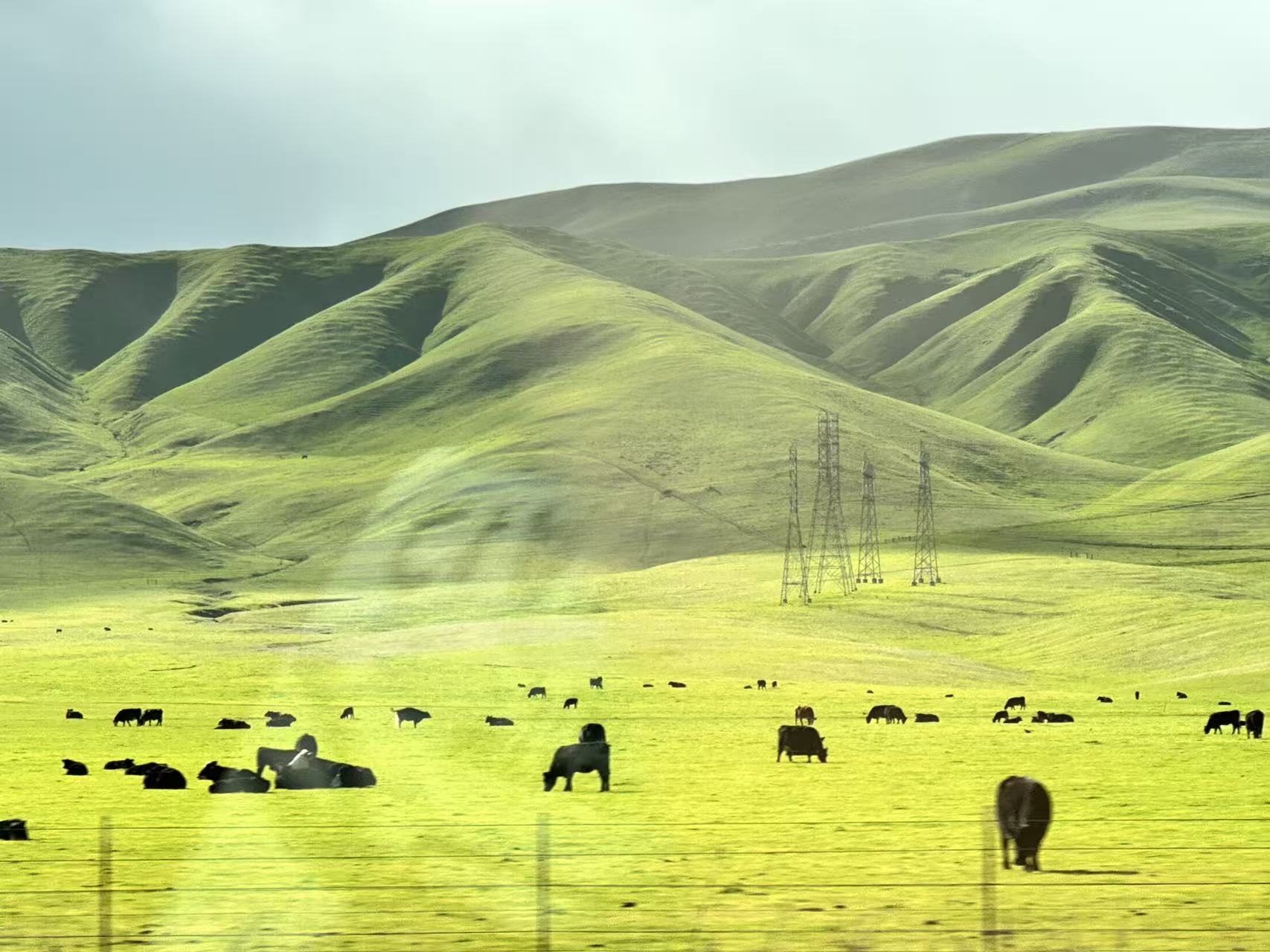 �����м� 1.jpg