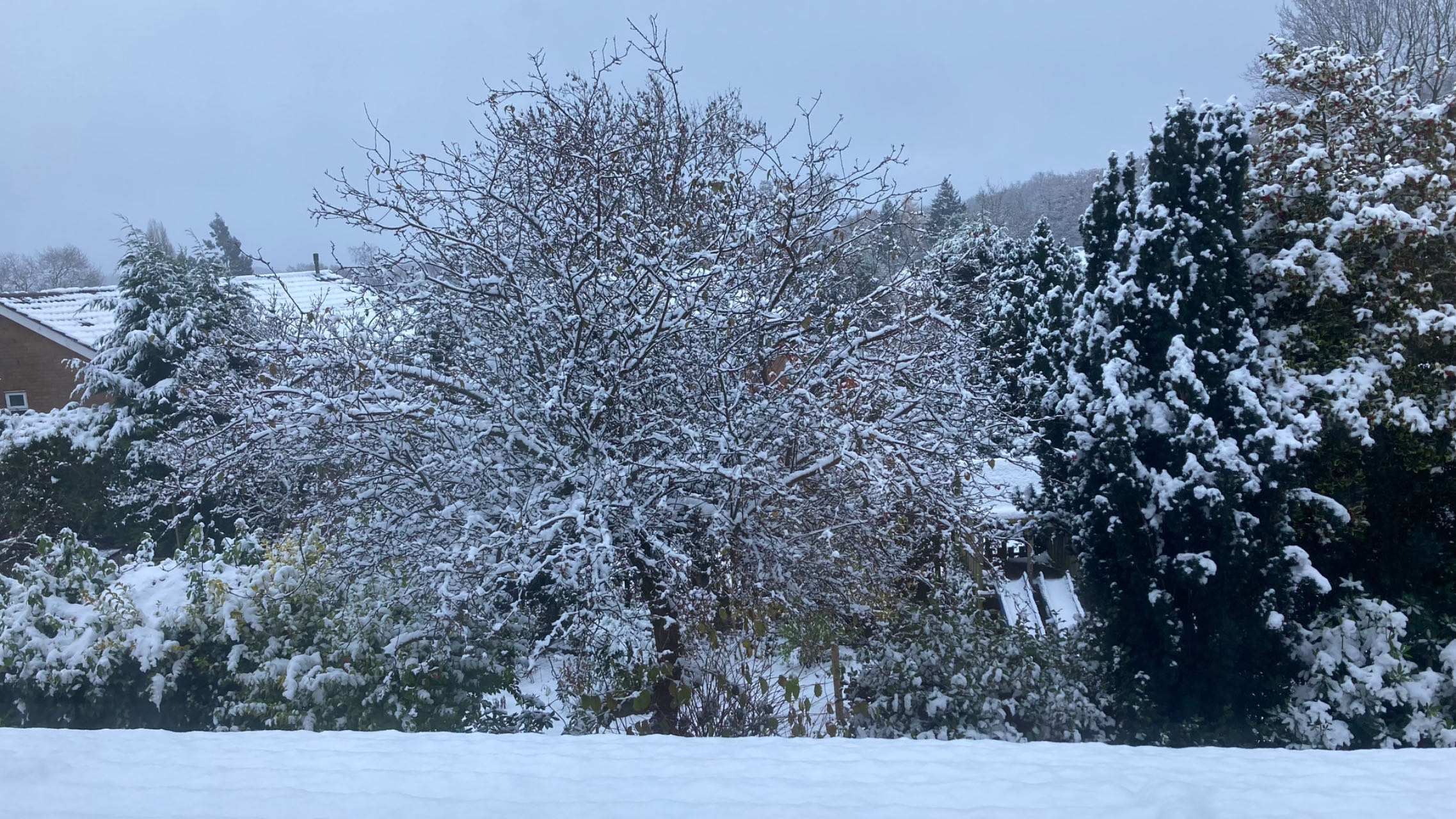 20260104133841_93659.jpg 2023-12-2 snow.jpg