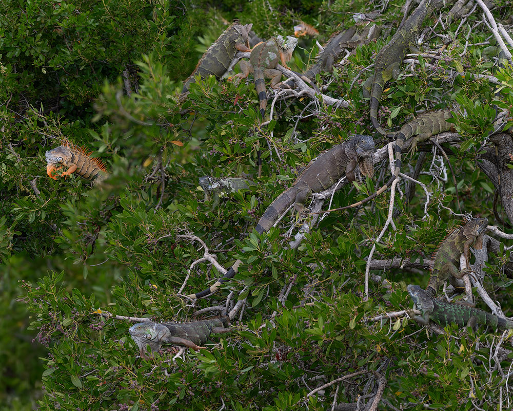 20260122103219_29325.jpg 20251127-2.jpg