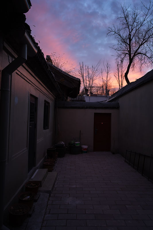 20260130171322_30916.jpg _Z8D2114_DxO.jpg