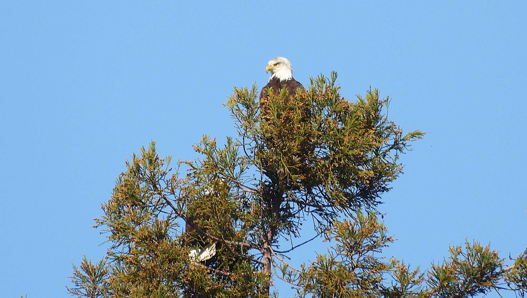 20260213102556_59839.jpg 1000023618.jpg