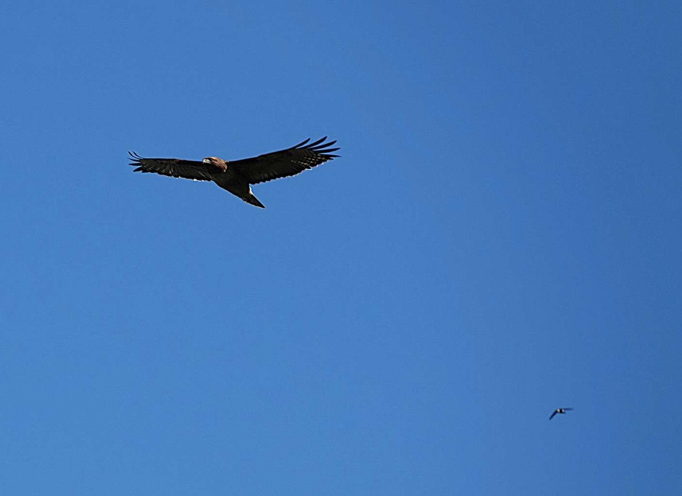 20260213175839_59112.jpg 1000023637.jpg