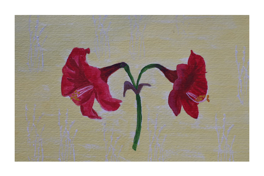 20260215191439_66180.jpg pt3.jpg