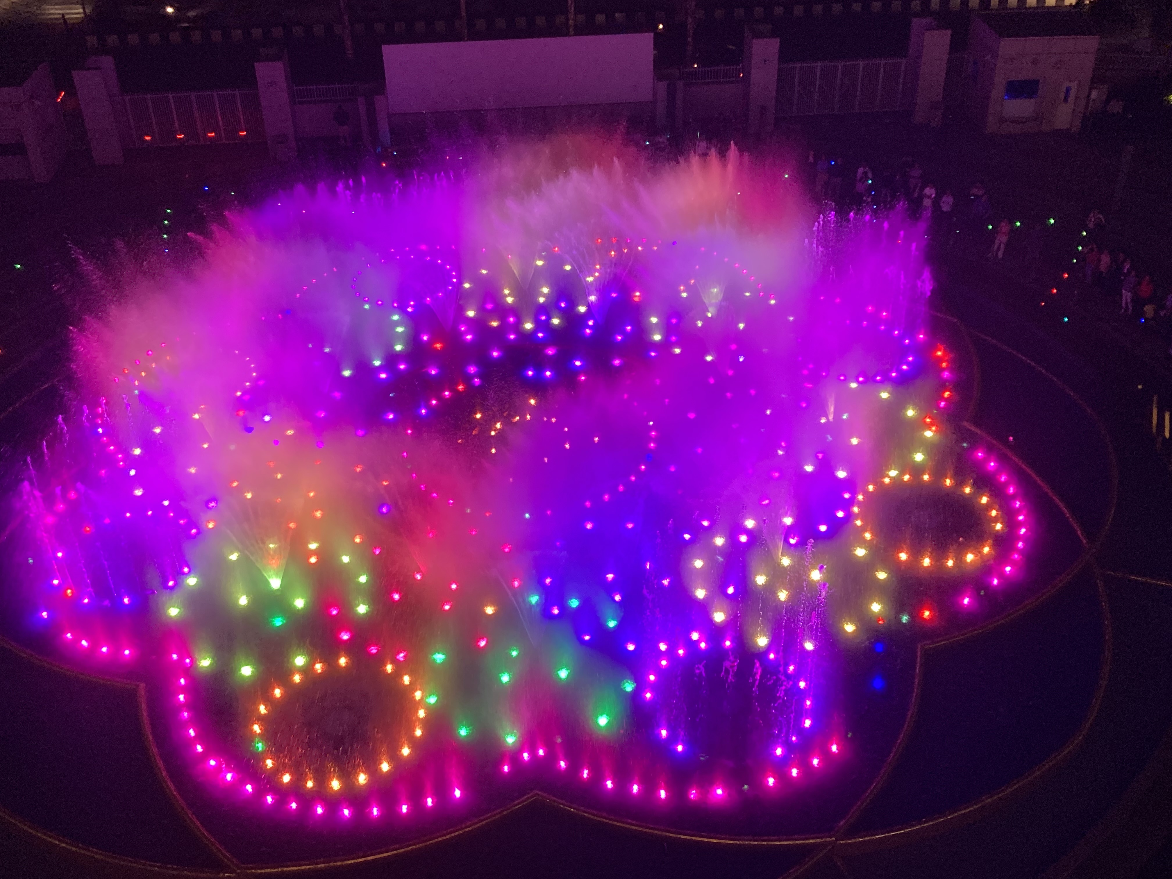 20260218233239_55455.jpeg IMG_2577.jpeg