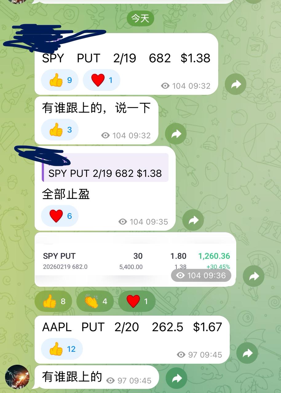 WhatsApp Image 2026-02-19 at 13.50.07.jpeg