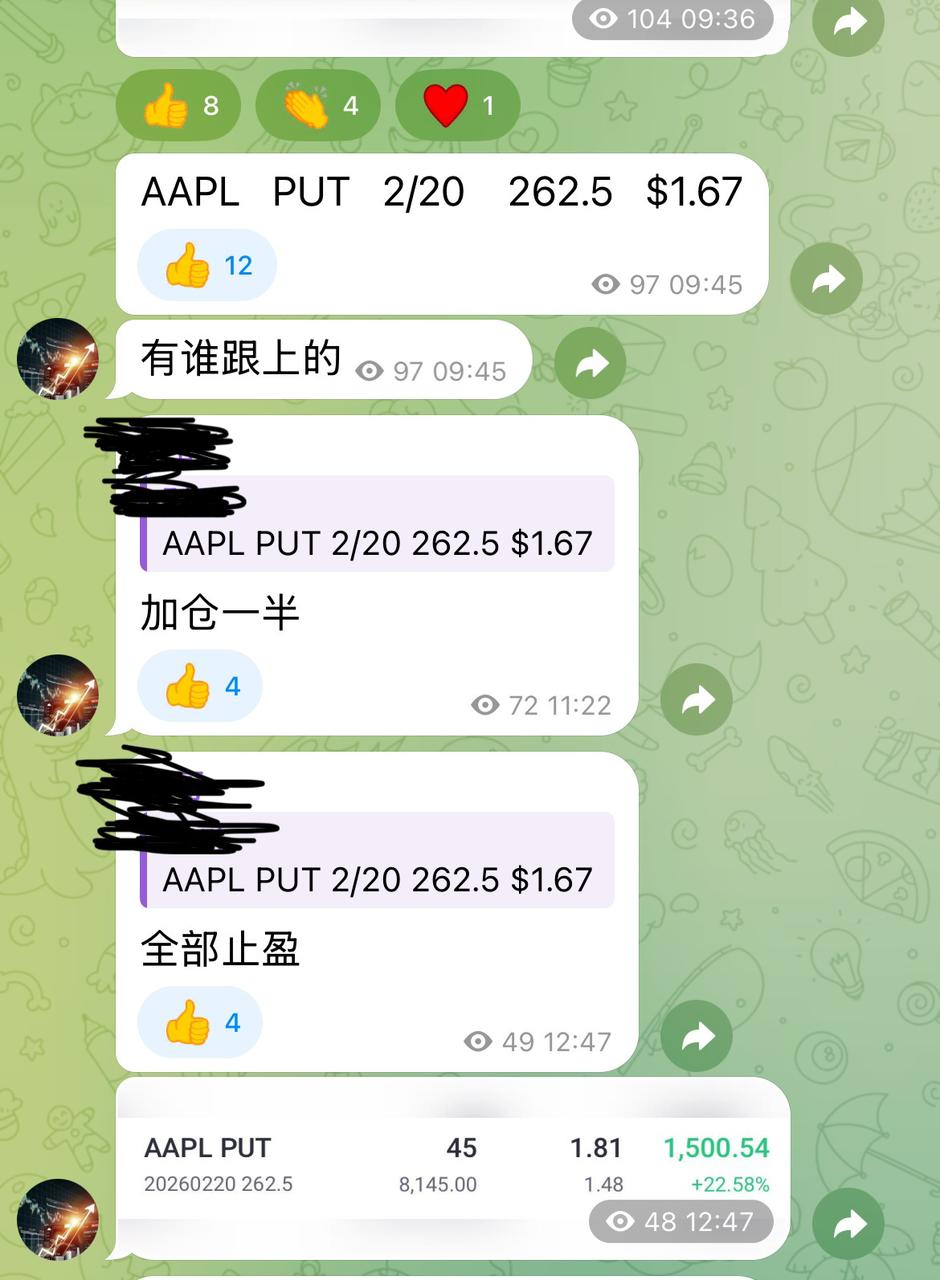 WhatsApp Image 2026-02-19 at 13.50.06.jpeg