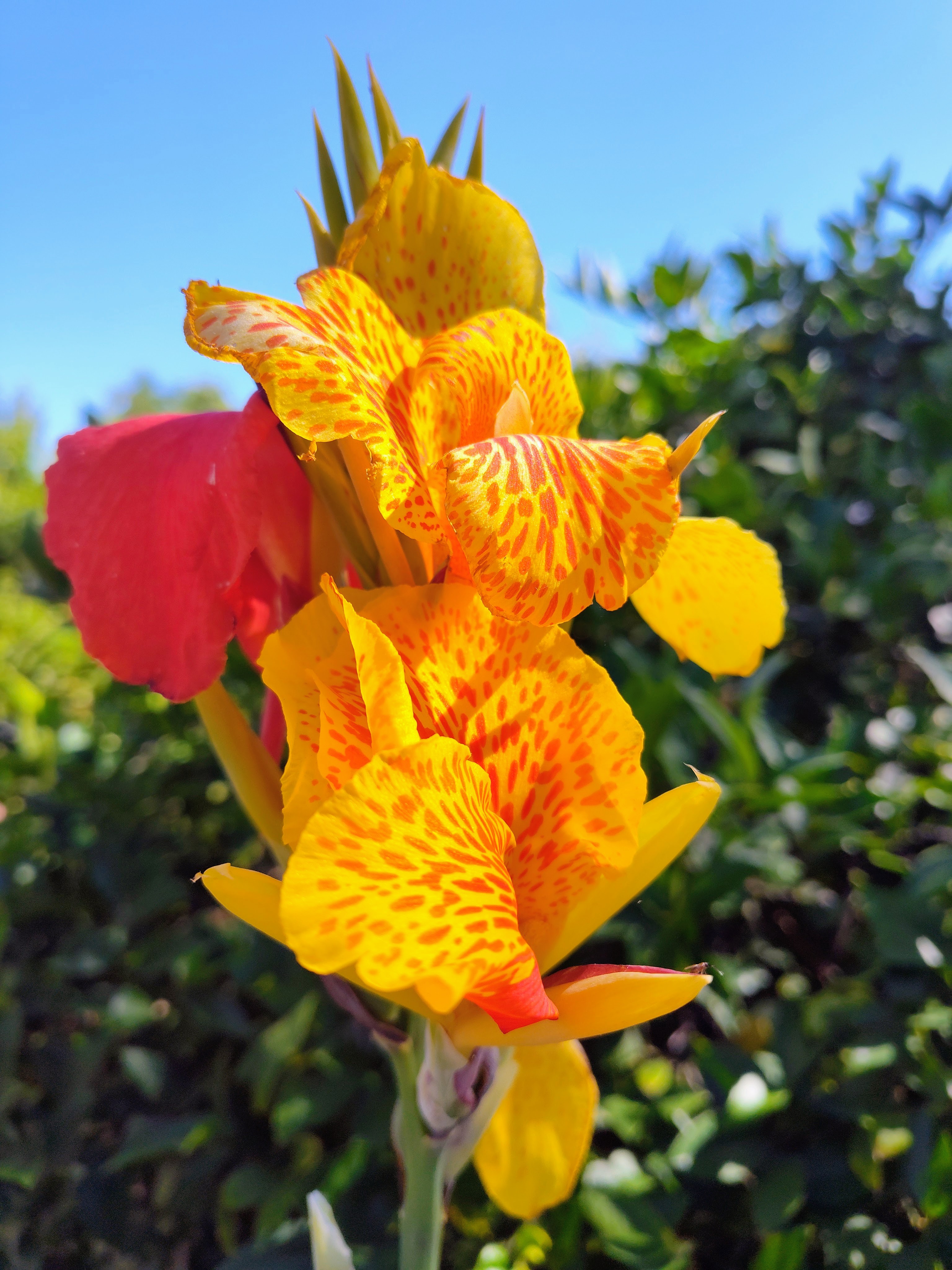 20260222190642_94135.jpg 1000023682.jpg