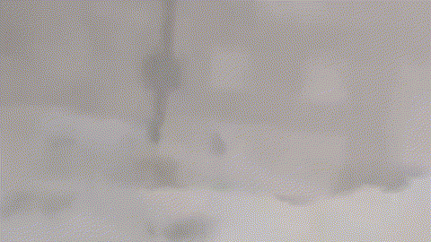 20260223170743_37326.gif 100.gif