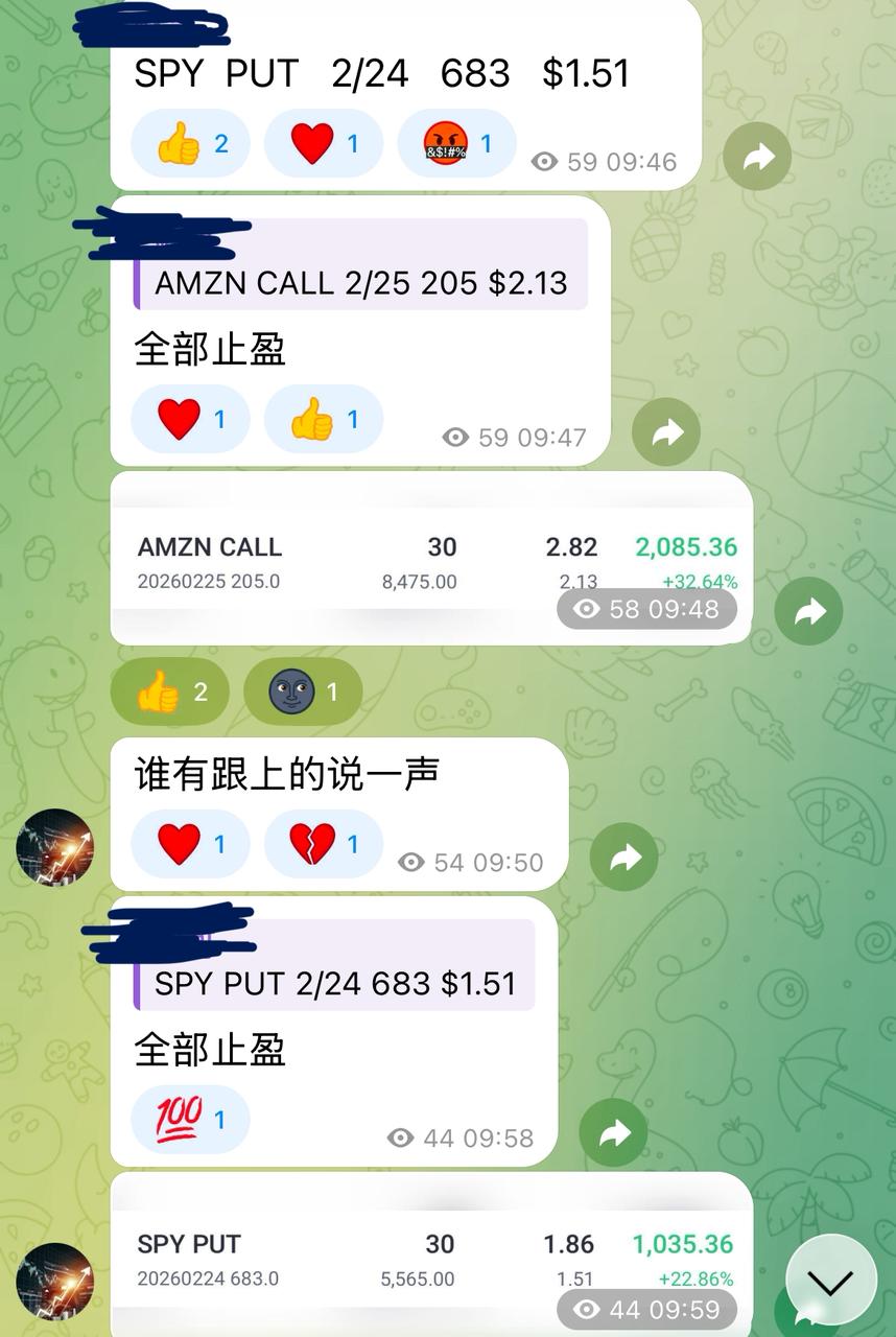 WhatsApp Image 2026-02-24 at 15.33.29.jpeg