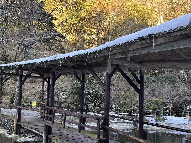 20260228011020_56308.jpg 养老溪谷1.jpg