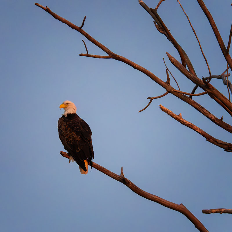 20260301085141_26959.jpg _Z8D3900_DxO.jpg