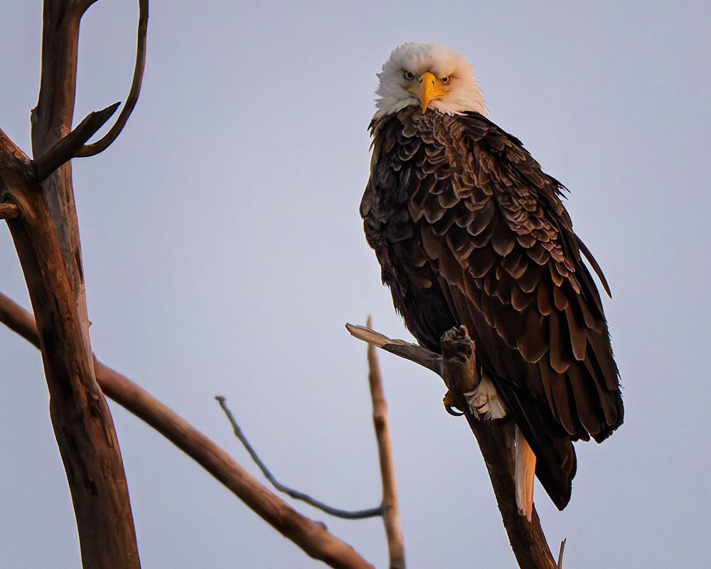 20260301085852_20512.jpg _Z8D3988_DxO_2.jpg