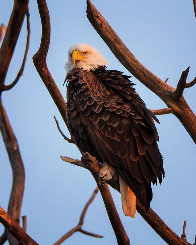 20260301142606_87045.jpg _Z8D3942_DxO.jpg