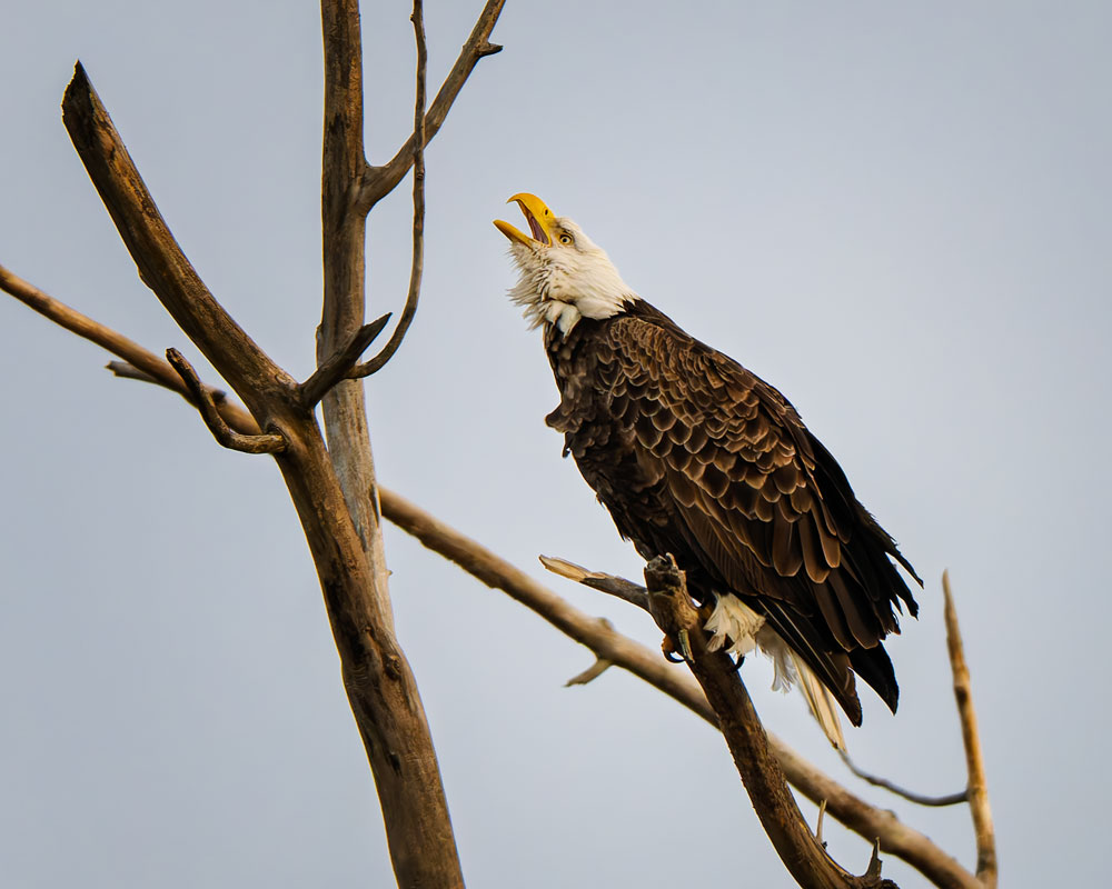 20260301142813_77136.jpg _Z8D4141_DxO.jpg