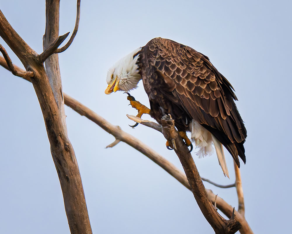 20260301153720_60435.jpg _Z8D4103_DxO.jpg