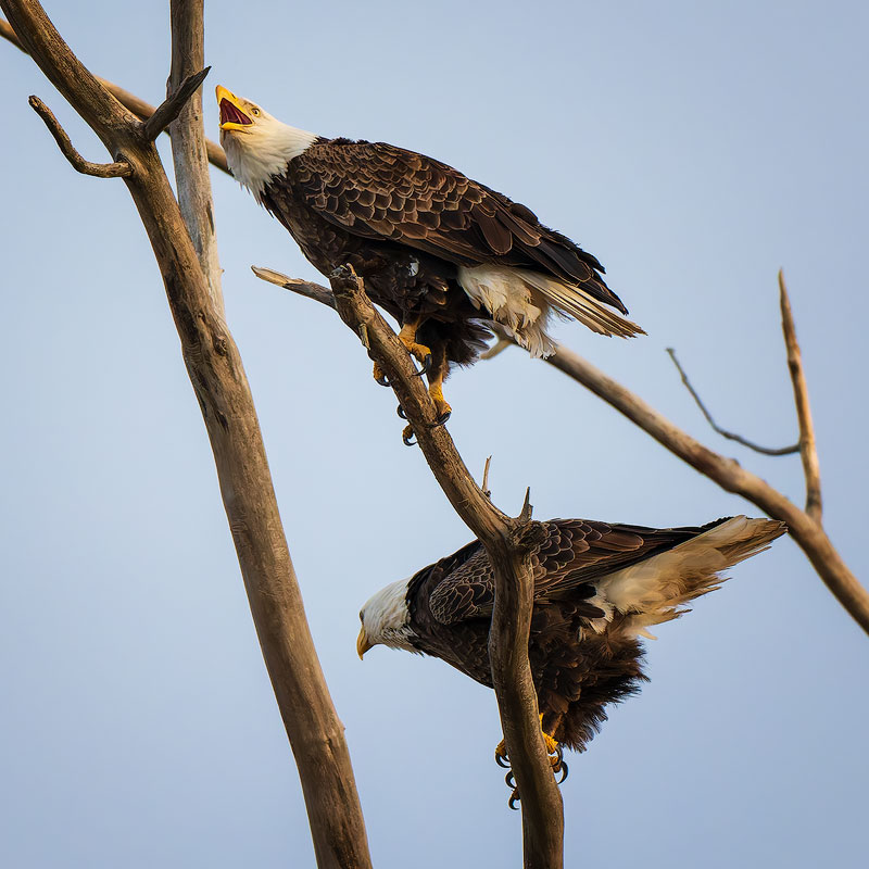 20260301153939_61635.jpg _Z8D4308_DxO.jpg