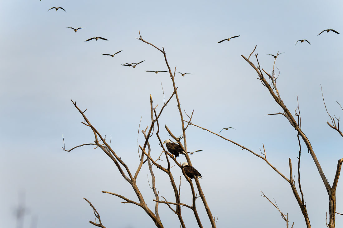 20260301154127_50302.jpg _Z8D4329_DxO.jpg